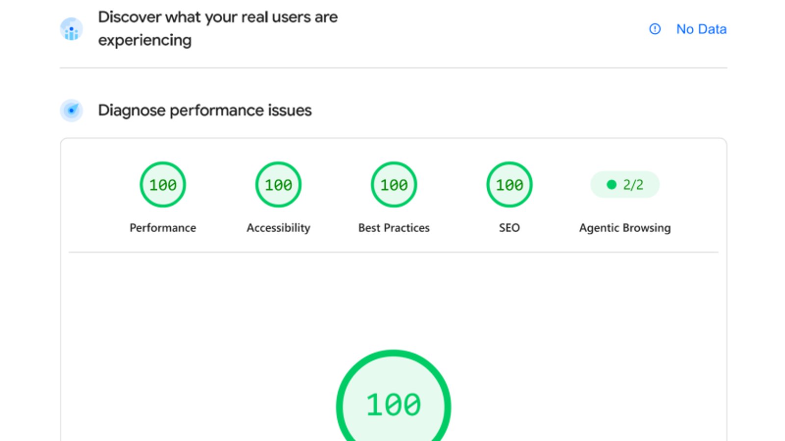 PageSpeed Insights 100/100 резултат